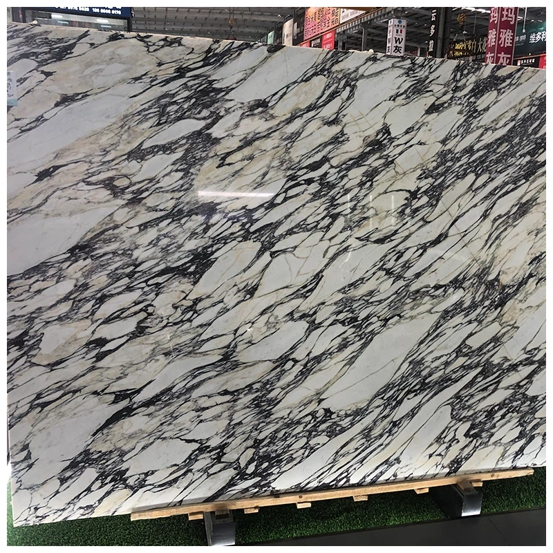Calacatta Viola Marble